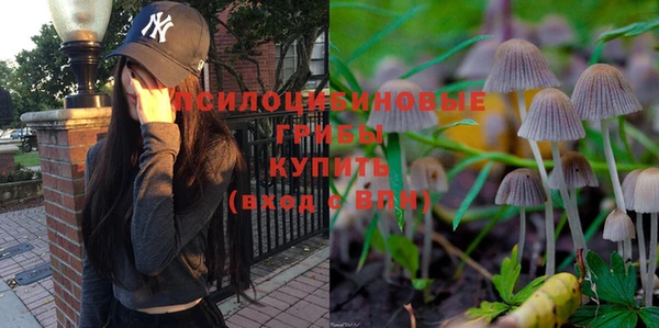 дживик Вяземский