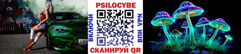 Псилоцибиновые грибы MAGIC MUSHROOMS  Михайлов 